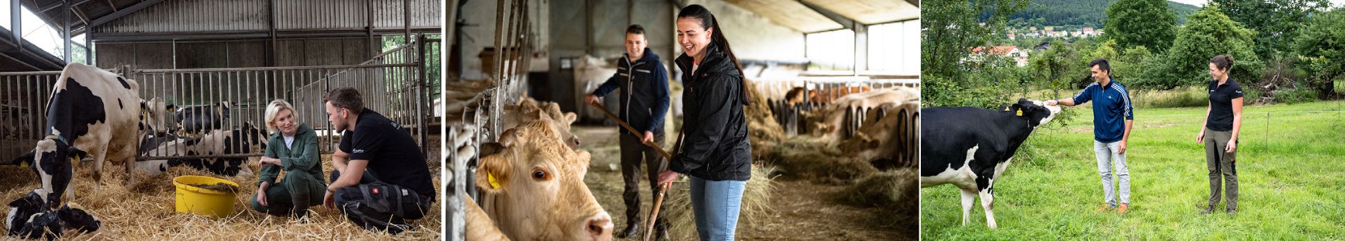 Header_Landwirt_für_einen_Tag